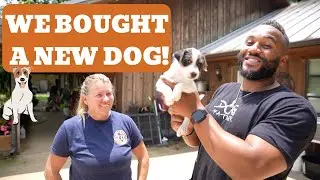 We Bought a New Dog!!!