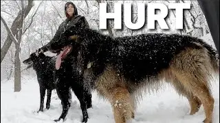 Hurt (cover by Frog Leap Studios Leo Moracchioli)
