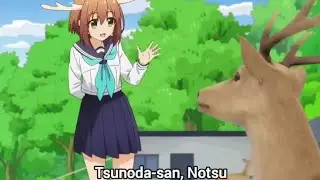 tsunoda San Notsu