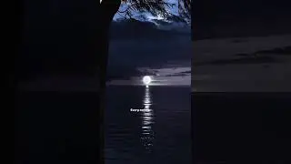 This song - The police _ Every breath you take ( slowed reverb) + lyrics #music #nature #vibes #fyp