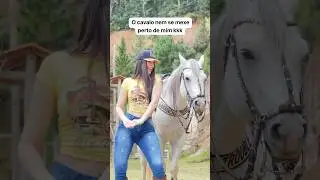 #piadas #cavalos #playvaquejada #cavalo #pecuarista #vaquera #piadascurtas #pecuaria