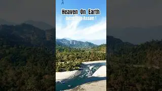 It&rsquo;s Assam #viralvideo #instagram #youtubeshorts #travel #travelvlog #nature #youtube #instagood