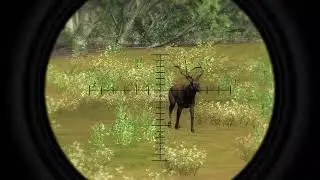 The hunter classic 3 huge Elk!!