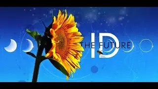 Michael Denton Remarkable Coincidences in Photosynthesis  -- ID The Future Podcast