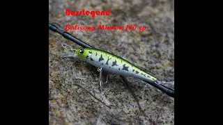 BassLegend Fishing Suspending Jerkbait Pointer Squad Balisong Minnow Bass Pike Trout Lure 100 SP