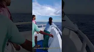 whale watching mirissa | Best whale watching mirissa