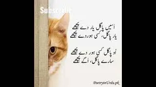 Funny Punjabi Poetry #viral #shorts
