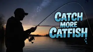 How Hot Weather Changes Catfish Feeding Times