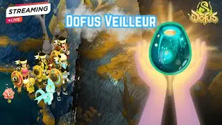 DOFUS VEILLEUR [B'DARIJA] - TEAM 199