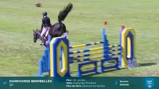 Darkhorse Brimbelles (Air Jordan x Diamant de Semilly)