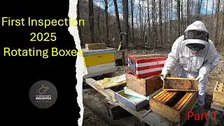 First Inspection 2025 - Reversing Boxes ( Part 1 )