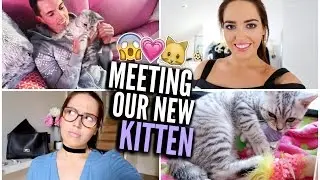 MEETING OUR NEW KITTEN!
