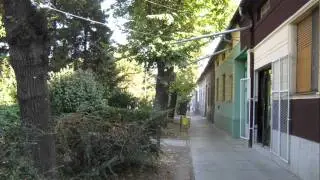 TEMERIN Újvidéki utca
