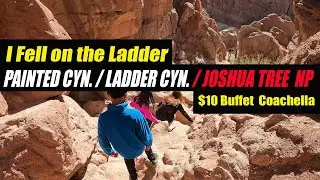 Painted Canyon Trail / Ladder Canyon / Joshua Tree NP Hiking / Off-Road Jeep Gladiator