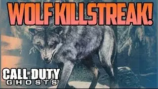 COD: Ghosts - NEW 