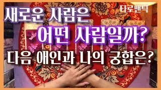 [타로/연애운] 새로운 사람은 어떤 사람일까? 다음 애인과 궁합은 어떨까?
