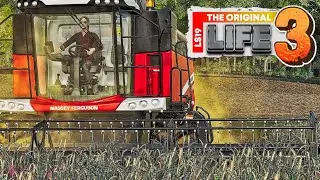 LS19 Life 3 #073 - ERFAHRENER Bauer vs. nicht so erfahrener BAUER - M4cM4nus Farming Simulator