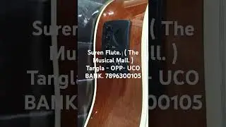 ##  SUREN FLUTE. THE MUSICAL MALL.  TANGLA  HERTZ  12 STRING ECOLEGER GUITAR.