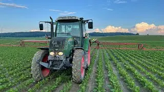 Heu schneiden, Fendt 311 & Hardy Feldspritze