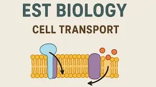 Lesson 10 | Cell transport | Biology for American diploma SAT, ACT, EST طلاب الدبلومة الأمريكية 