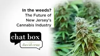 CRC chair discusses cannabis industry, climate experts on NJ&rsquo;s environment I Chat Box