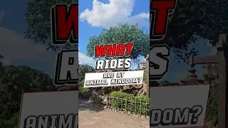 All rides at Animal kingdom!
