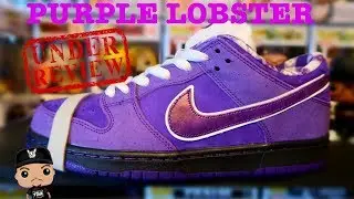 PURPLE LOBSTER NIKE SB DUNK LOW CONCEPTS SNEAKER UNBOXING DETAILED REVIEW + SHOE COLLECTION