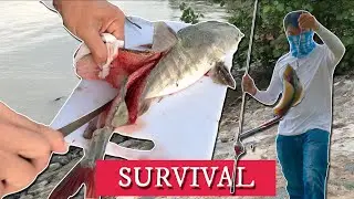 SURVIVAL Fishing @ Pasir Ris Beach ( Eating ONLY what I catch!! )