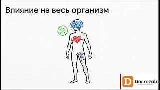 Мнение врачей: есть ли безопасная доза алкоголя? #досрекоб #алкоголь