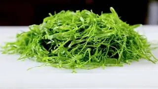 Corte Chiffonade