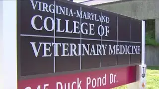Virginia Tech proposes expansion of their animal hospital