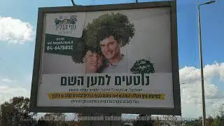 Ноф а-Галиль после пожара. Израиль. Nof HaGalil after the fire.  Israel