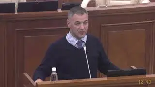 Octavian Țîcu - declarație la sfârșit de ședință plenară