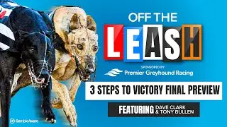 3 Steps To Victory Final Preview | Off The Leash | Greyhound Tips | Racing Post