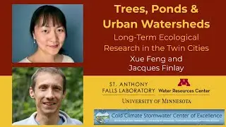 Trees, Ponds & Urban Watersheds: Long-Term Ecological Research in the Twin Cities | May 2024