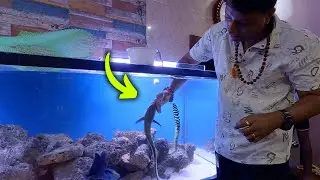 4 YEARS OLD FISH HAND FEEDING | SEASCAPES