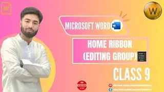 Beginner to Pro: Microsoft Word Editing Group শেখার সহজ গাইড