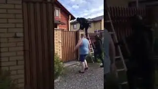 Epic SWAT fail - wait for it!
