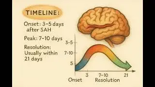 Traumatic Brain Injury (TBI)