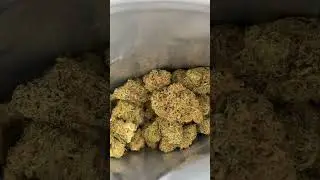 Chemdawg OG..higreen..