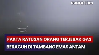 Ratusan Orang Terjebak Gas Beracun di Tambang Emas Antam? Polisi Ungkap Fakta Mengerikan