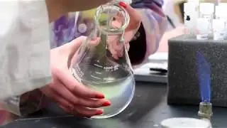 Fuel for the Future