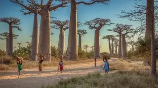 10 Things You Definitely Didn't Know About Africa