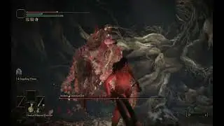 (ELDEN RING) Duo Katana/Bleed Build Malenia Fight