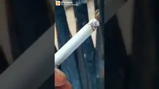 sad gigrate video attitude
