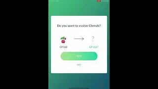 Evolving cherubi to another sleeping cherrim!!! 😡 Pok&eacute;mon GO