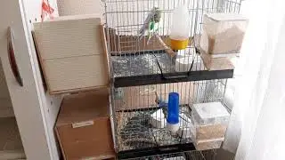 MUHABBET 'DE NEREDE KALMIŞTIK 🐦🐦