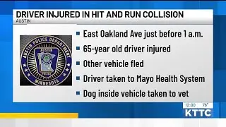 Austin man, dog injured in hit-and-run crash