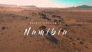 Namibia - desert life and sand lovers