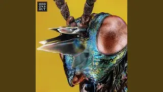 Nova